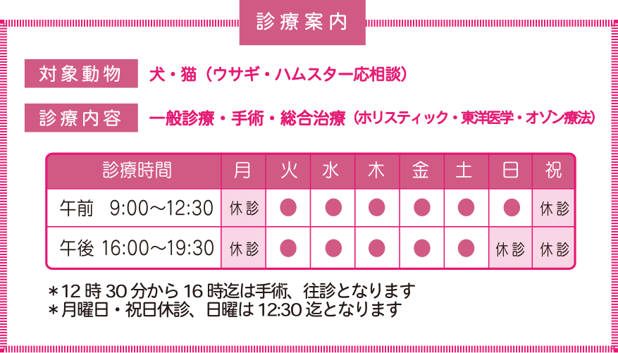 診療案内