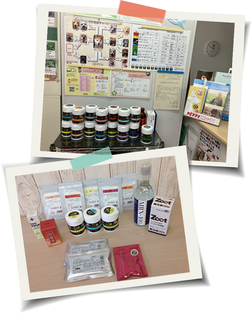 サプリメント・フード